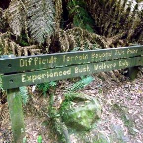 The Aussie Dictionary