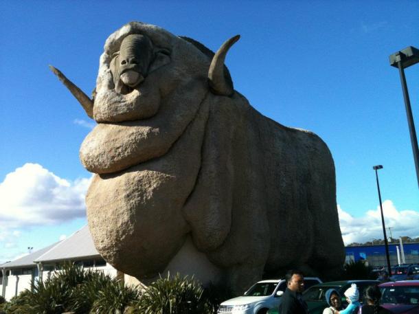 The Big Merino