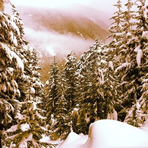 aladyinlondon - whistler