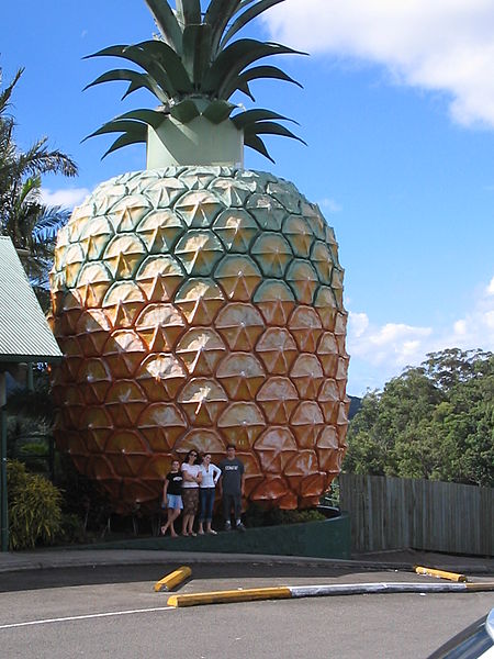 Big Pineapple