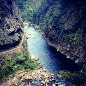 vickyflipflop - new zealand