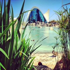 vstuarttaylor - valencia