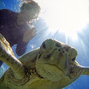 young adventuress - great barrier reef
