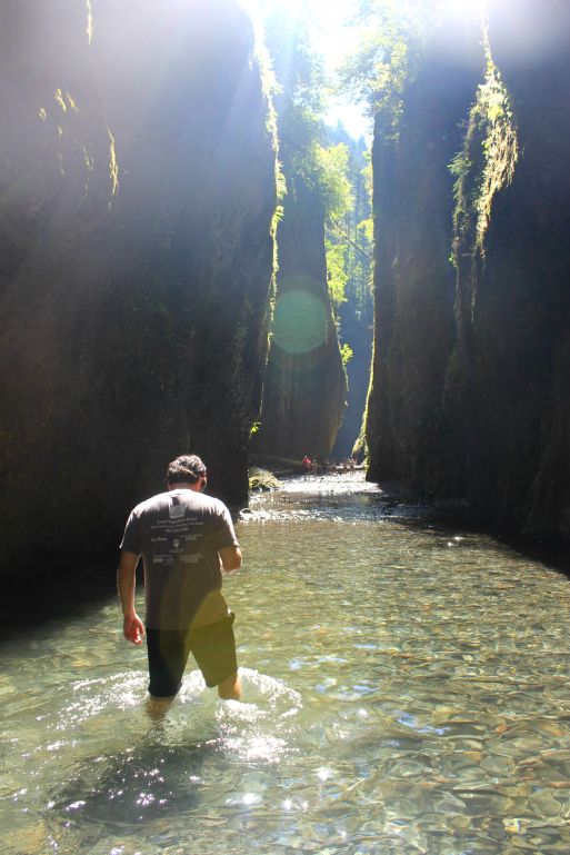 Oneonta Gorge