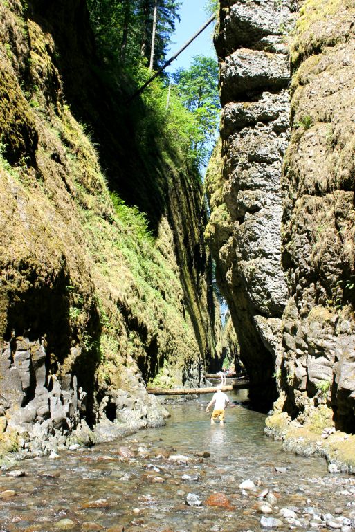 Oneonta Gorge